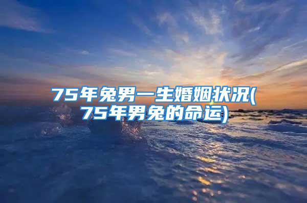 75年兔男一生婚姻状况(75年男兔的命运)