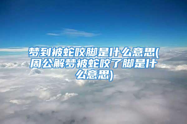 梦到被蛇咬脚是什么意思(周公解梦被蛇咬了脚是什么意思)