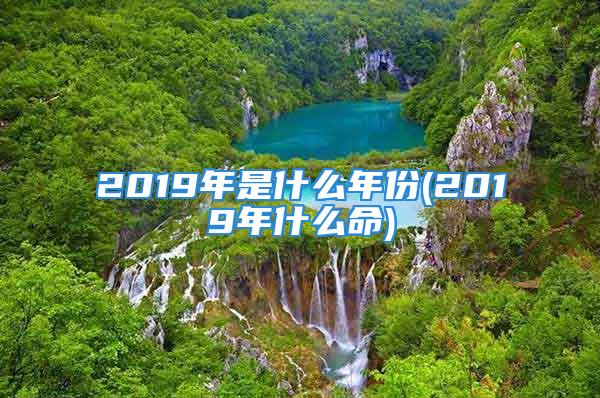 2019年是什么年份(2019年什么命)