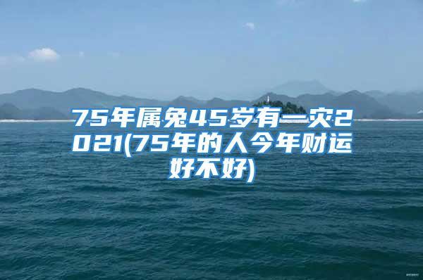 75年属兔45岁有一灾2021(75年的人今年财运好不好)