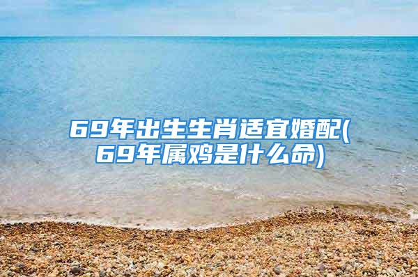 69年出生生肖适宜婚配(69年属鸡是什么命)