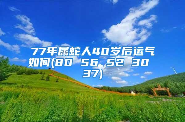 77年属蛇人40岁后运气如何(80 56 52 30 37)