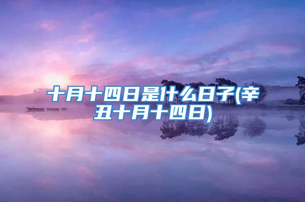 十月十四日是什么日子(辛丑十月十四日)