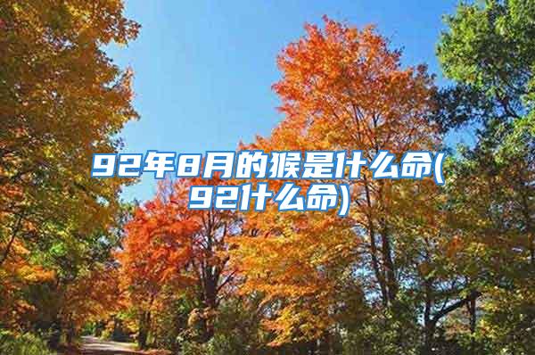 92年8月的猴是什么命(92什么命)