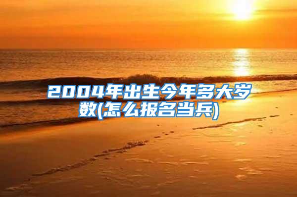 2004年出生今年多大岁数(怎么报名当兵)