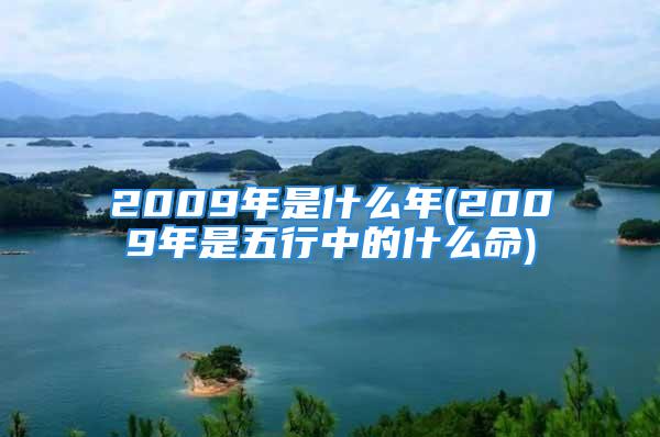 2009年是什么年(2009年是五行中的什么命)