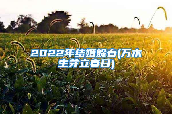 2022年结婚躲春(万木生芽立春日)