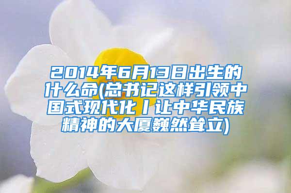 2014年6月13日出生的什么命(总书记这样引领中国式现代化丨让中华民族精神的大厦巍然耸立)