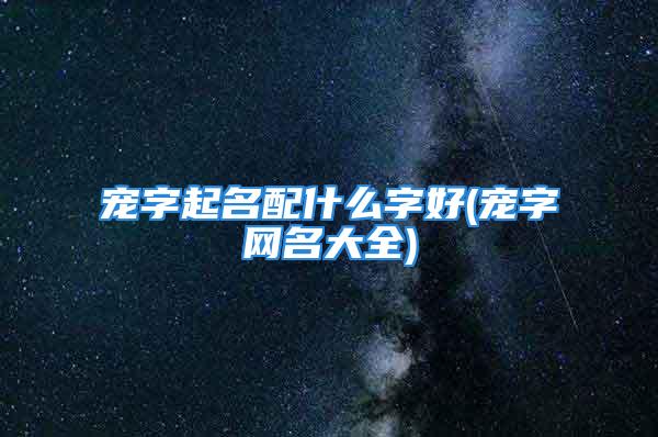 宠字起名配什么字好(宠字网名大全)