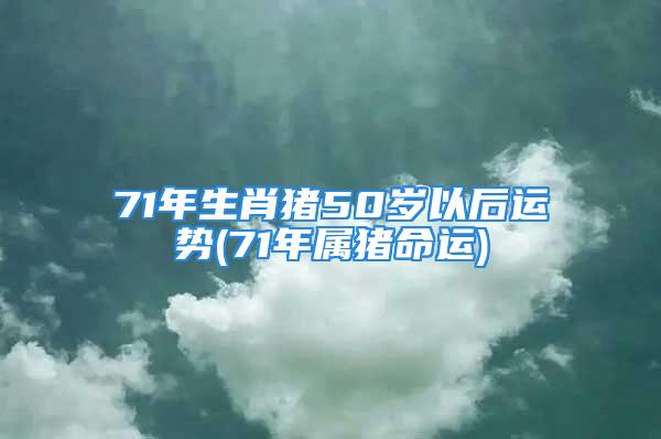 71年生肖猪50岁以后运势(71年属猪命运)