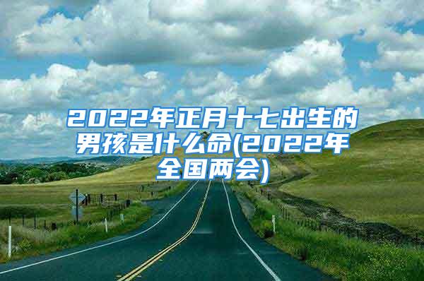 2022年正月十七出生的男孩是什么命(2022年全国两会)