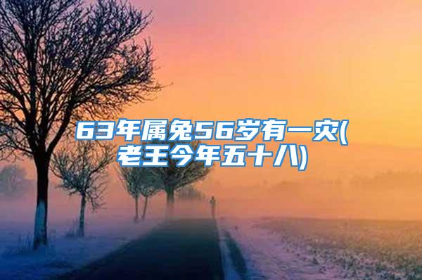 63年属兔56岁有一灾(老王今年五十八)