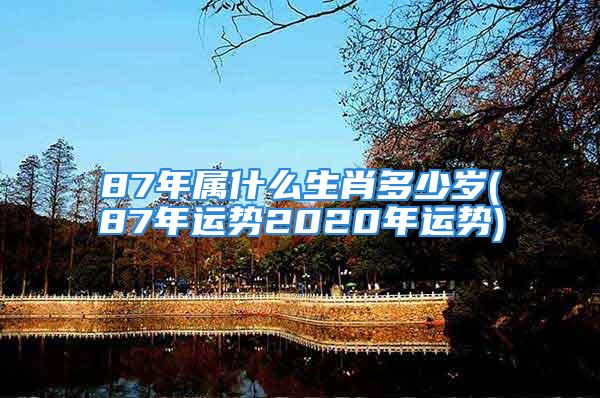 87年属什么生肖多少岁(87年运势2020年运势)