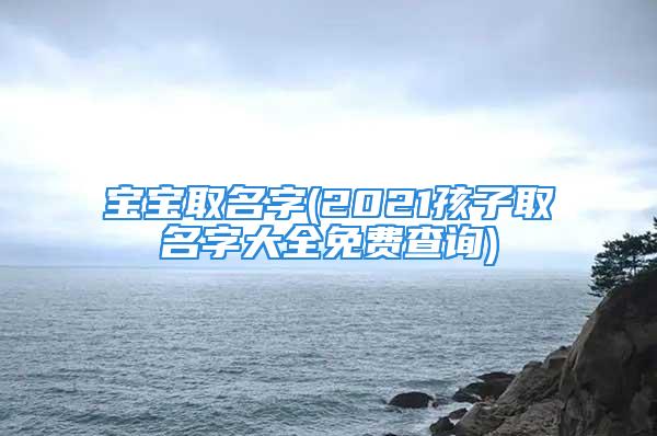 宝宝取名字(2021孩子取名字大全免费查询)