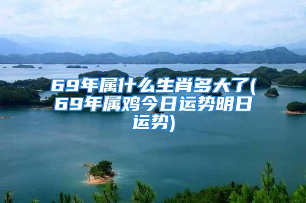 69年属什么生肖多大了(69年属鸡今日运势明日运势)