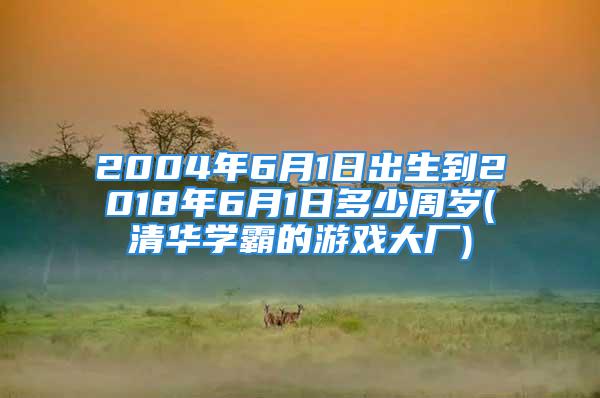 2004年6月1日出生到2018年6月1日多少周岁(清华学霸的游戏大厂)