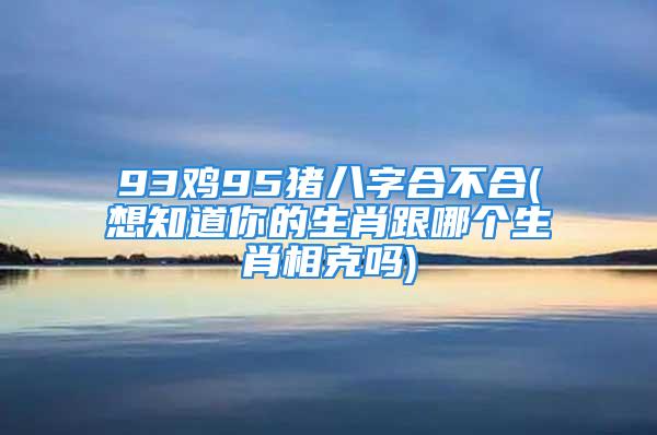 93鸡95猪八字合不合(想知道你的生肖跟哪个生肖相克吗)