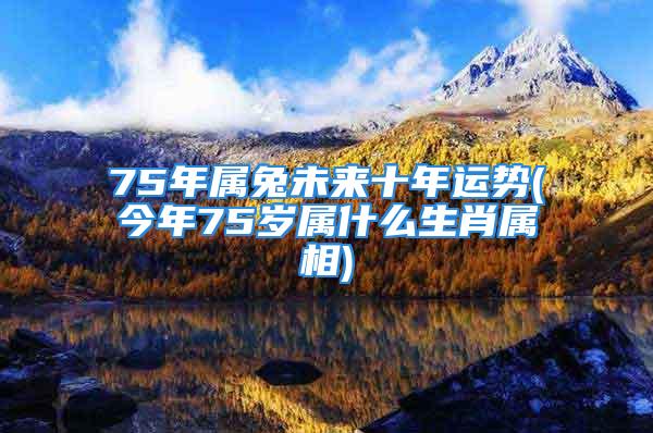 75年属兔未来十年运势(今年75岁属什么生肖属相)