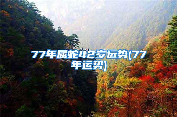 77年属蛇42岁运势(77年运势)