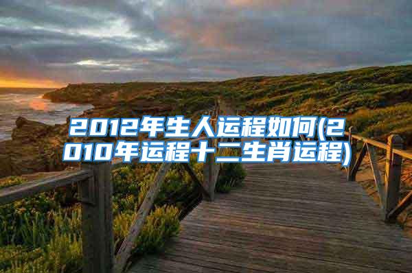 2012年生人运程如何(2010年运程十二生肖运程)