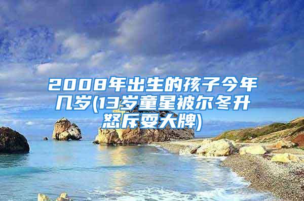 2008年出生的孩子今年几岁(13岁童星被尔冬升怒斥耍大牌)