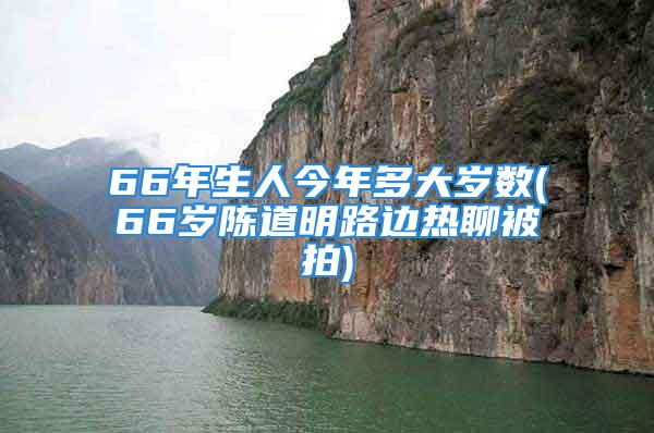 66年生人今年多大岁数(66岁陈道明路边热聊被拍)