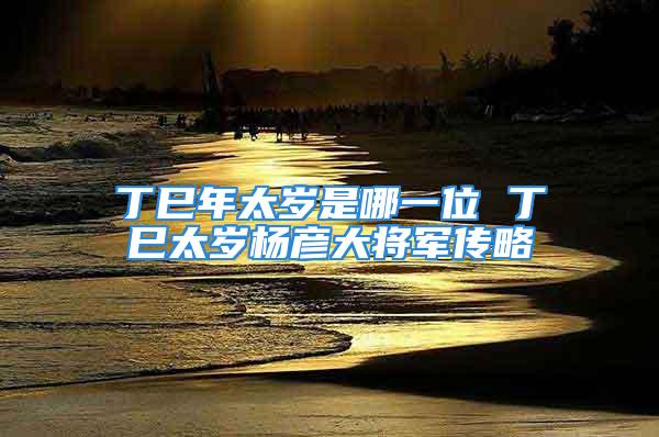 丁巳年太岁是哪一位 丁巳太岁杨彦大将军传略