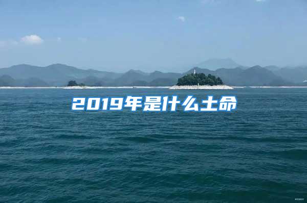 2019年是什么土命