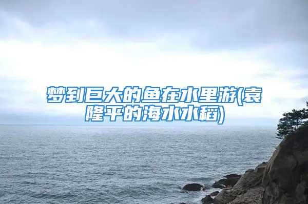 梦到巨大的鱼在水里游(袁隆平的海水水稻)