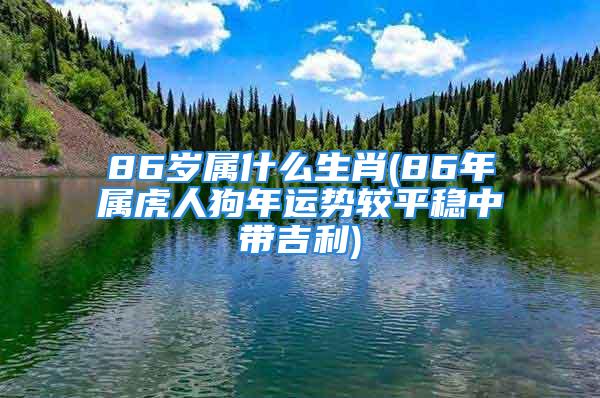 86岁属什么生肖(86年属虎人狗年运势较平稳中带吉利)