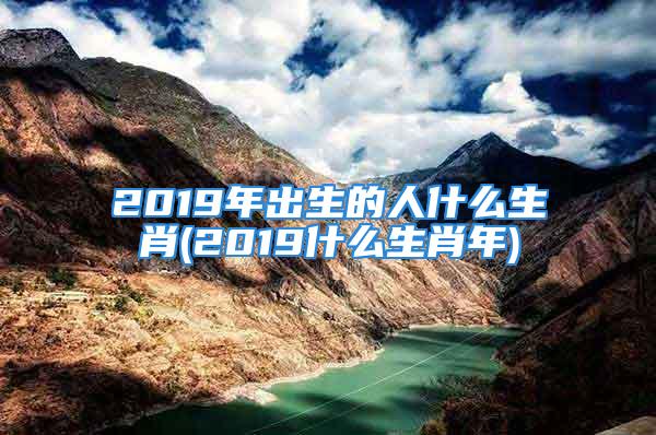 2019年出生的人什么生肖(2019什么生肖年)