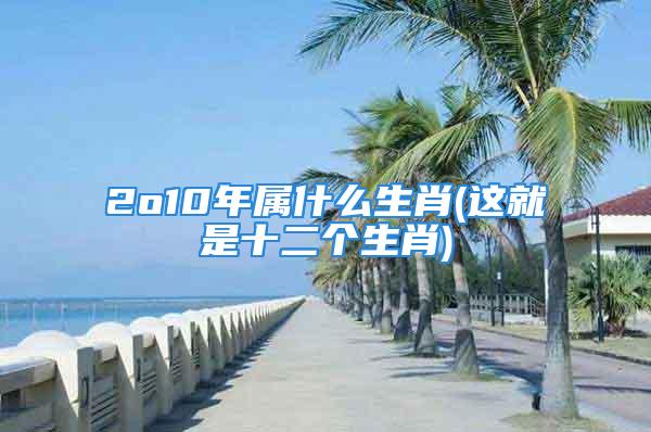 2o10年属什么生肖(这就是十二个生肖)