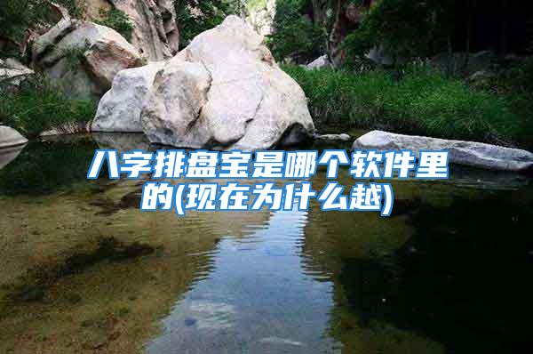 八字排盘宝是哪个软件里的(现在为什么越)