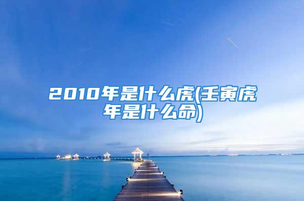 2010年是什么虎(壬寅虎年是什么命)