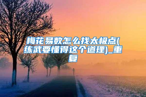 梅花易数怎么找太极点(练武要懂得这个道理)_重复