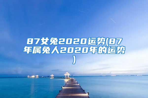 87女兔2020运势(87年属兔人2020年的运势)