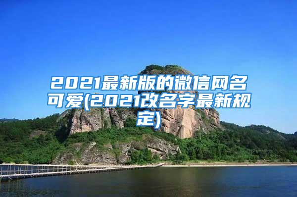 2021最新版的微信网名可爱(2021改名字最新规定)