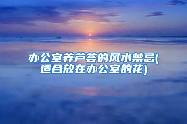 办公室养芦荟的风水禁忌(适合放在办公室的花)