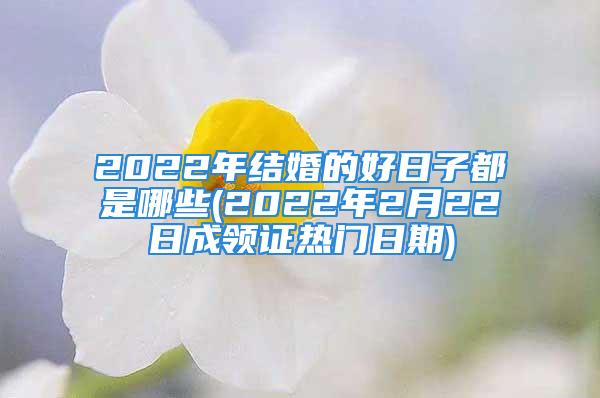 2022年结婚的好日子都是哪些(2022年2月22日成领证热门日期)