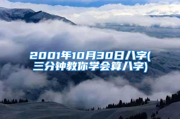 2001年10月30日八字(三分钟教你学会算八字)