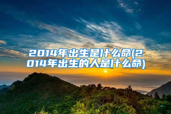 2014年出生是什么命(2014年出生的人是什么命)