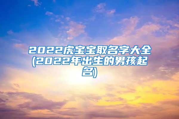 2022虎宝宝取名字大全(2022年出生的男孩起名)