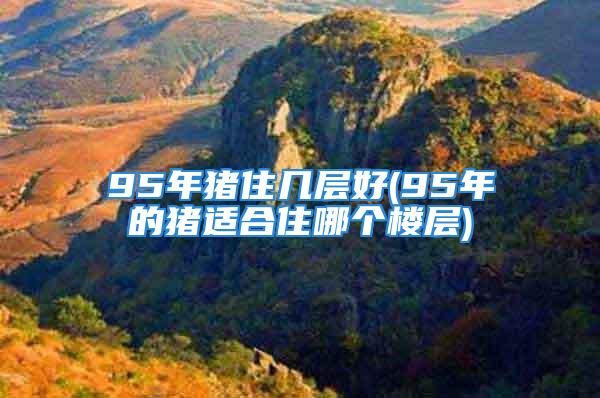 95年猪住几层好(95年的猪适合住哪个楼层)