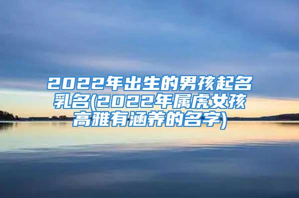 2022年出生的男孩起名乳名(2022年属虎女孩高雅有涵养的名字)