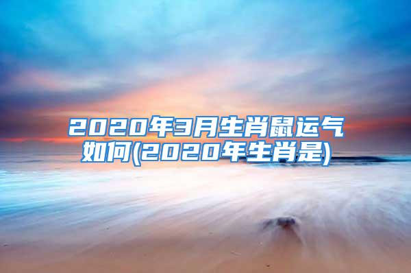 2020年3月生肖鼠运气如何(2020年生肖是)