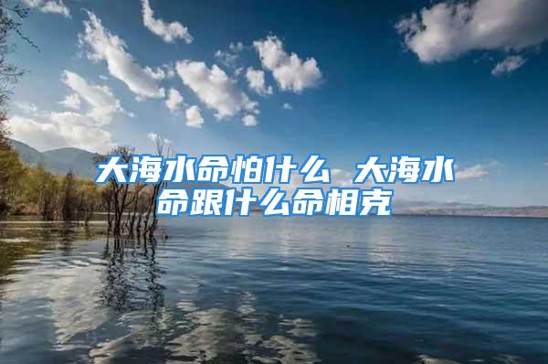 大海水命怕什么 大海水命跟什么命相克