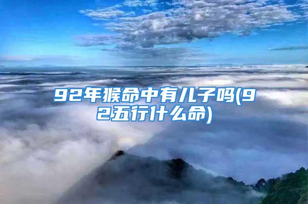 92年猴命中有儿子吗(92五行什么命)