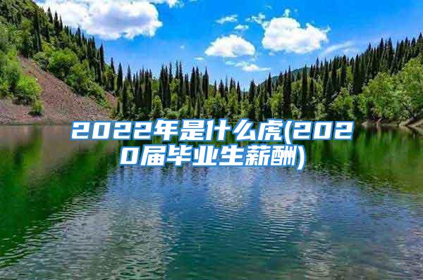 2022年是什么虎(2020届毕业生薪酬)