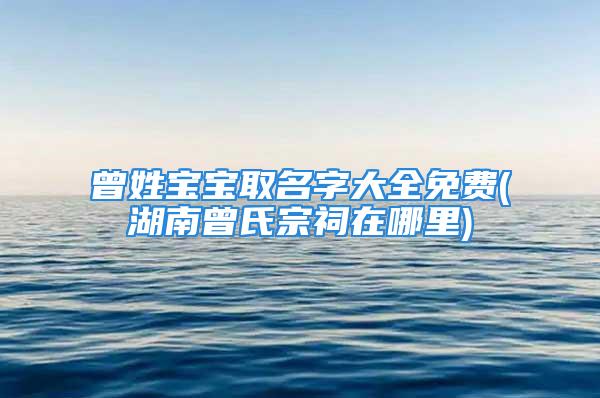 曾姓宝宝取名字大全免费(湖南曾氏宗祠在哪里)