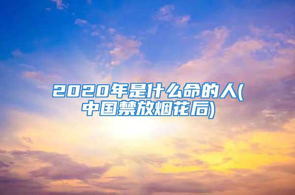 2020年是什么命的人(中国禁放烟花后)